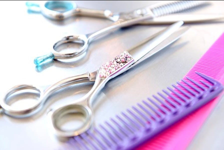 主婦活躍 株式会社buy The Way 志村坂上駅 の派遣求人情報 しゅふｊｏｂ No